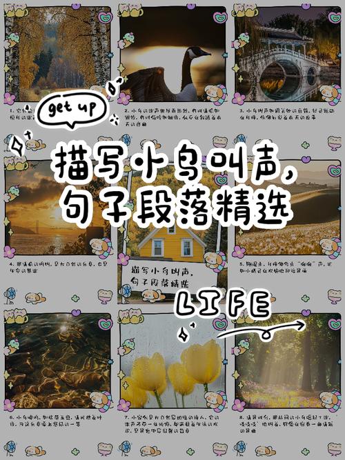八哥16句说话教程