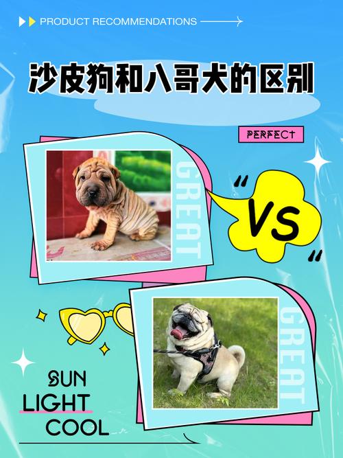 狗狗身上起癣怎么办？