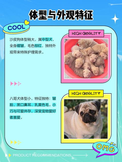 请问狗狗的品种巴哥和沙皮有什么区别