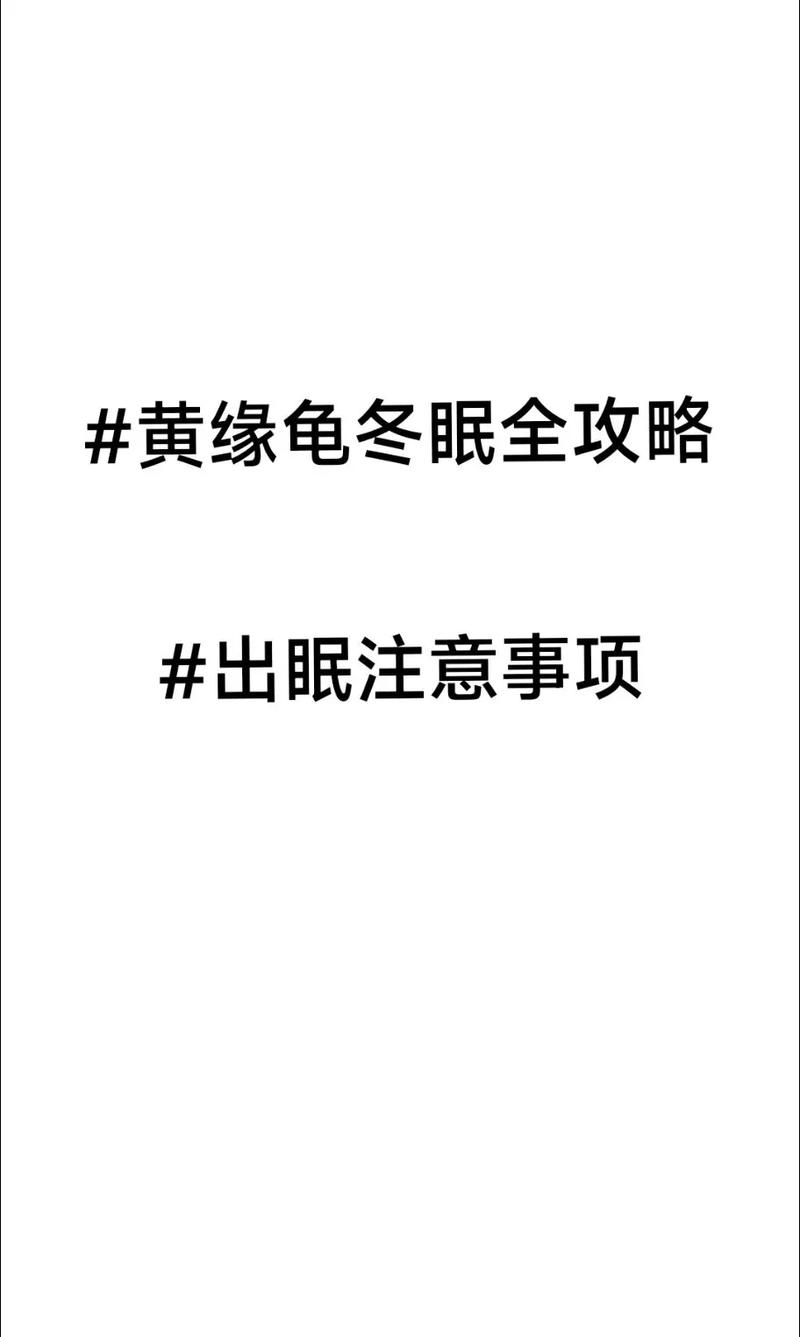 黄缘龟冬眠,主人需要注意哪些问题?