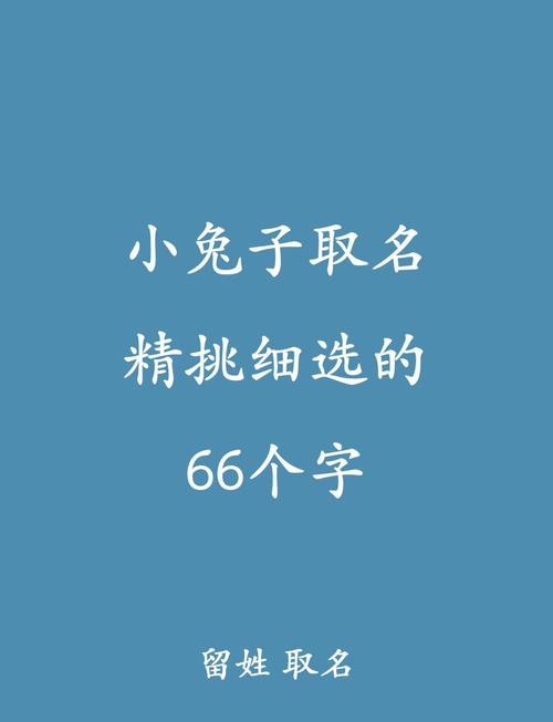 兔子名字可爱呆萌