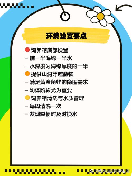 如何饲养黄金角蛙