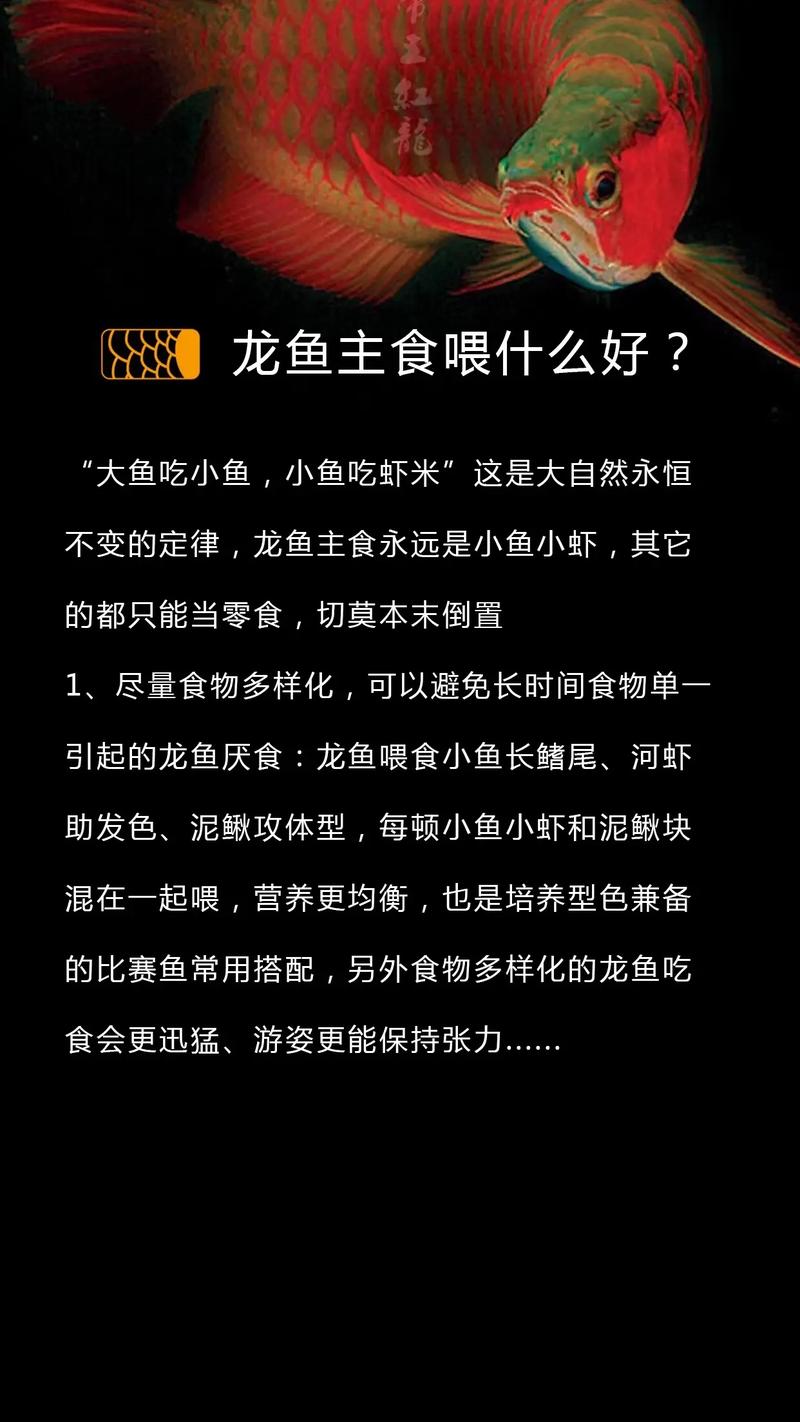 八角龙鱼方在深水缸可以吗