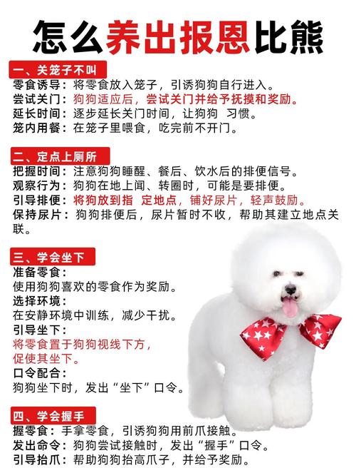 比熊犬好养活吗