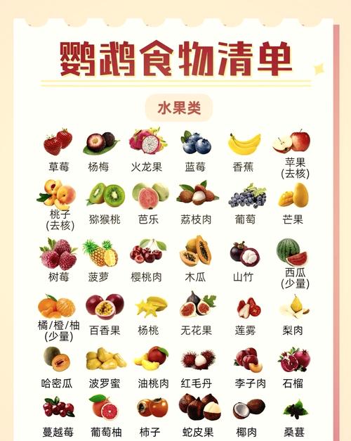 伯劳鸟吃什么