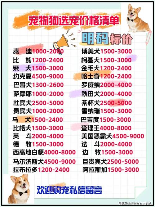 黄金猎犬多少钱一只