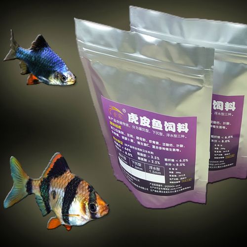 新手养孔雀鱼要注意哪些问题啊?