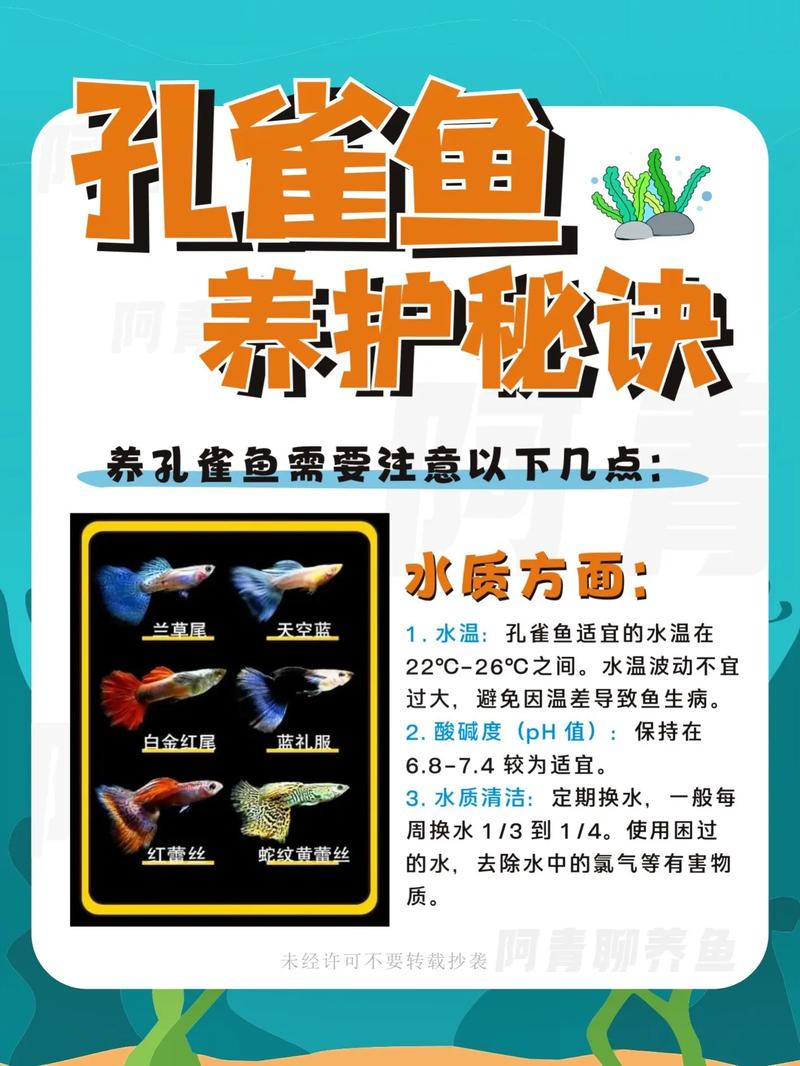 什么鱼可以让虎鱼发色