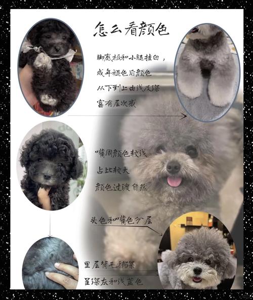 铜氧化发黑怎么处理