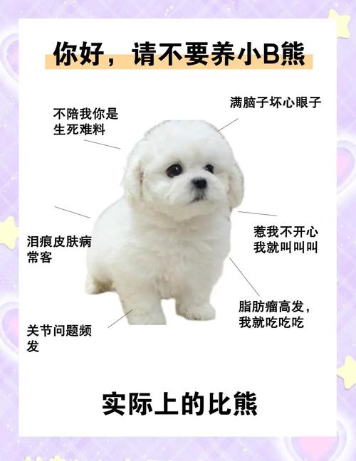 养比熊最大的忌讳