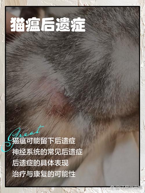 猫瘟在人身上会残留多久