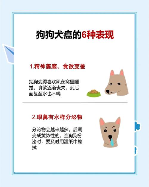 犬瘟有哪些症状?犬瘟的潜伏期是多久?
