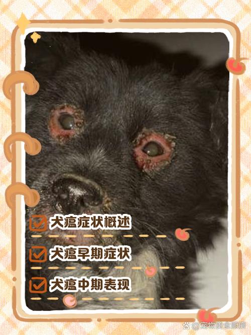 狗瘟初期能检查出来吗