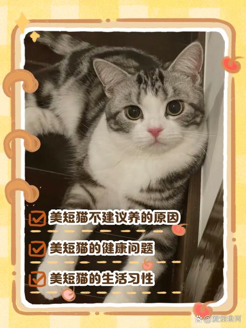 矮脚猫寿命一般多少年?