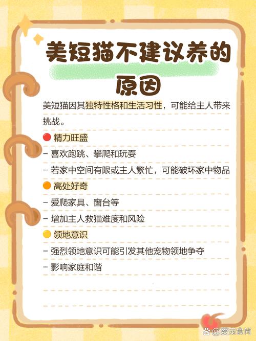 为什么矮脚猫死亡率高