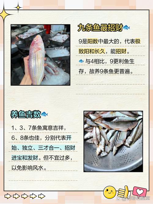 养鱼养几条鱼比较好?