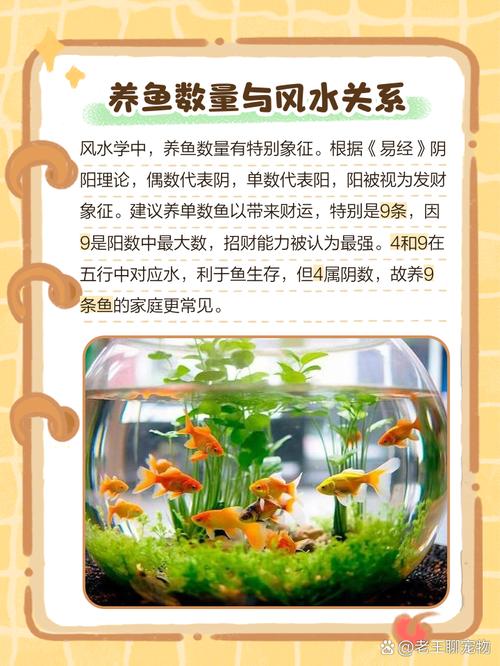 家庭养鱼几条比较好