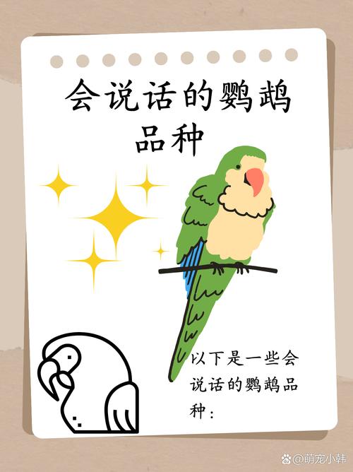 什么鹦鹉会说话?