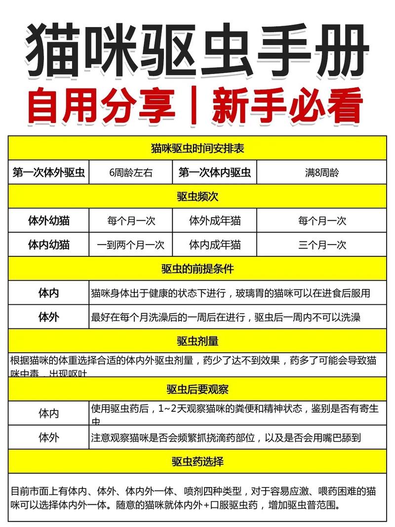 猫咪体外驱虫晚上还是白天更好?