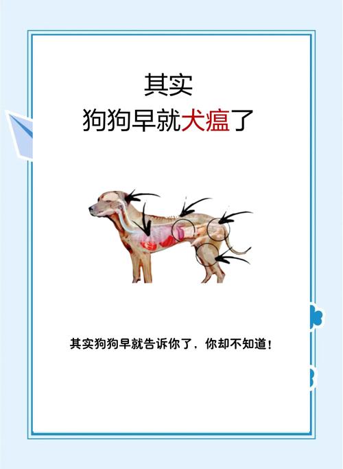 什么是犬瘟热