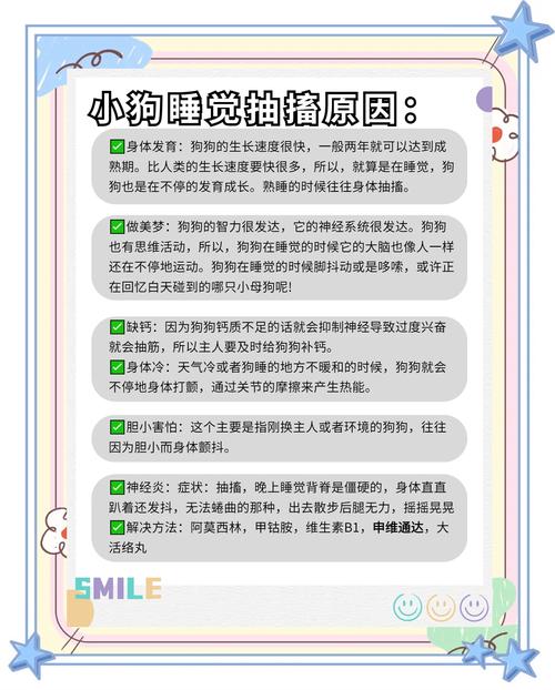 纽芬兰犬睡觉翻白眼是怎么回事?