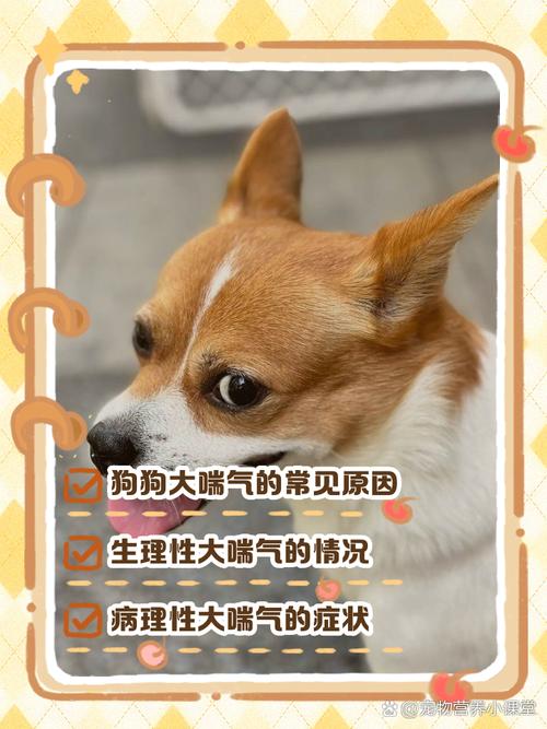 狗狗睡觉翻白眼还抽搐怎么回事