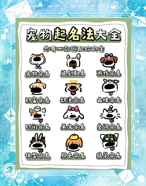 霸气宠物名字萌