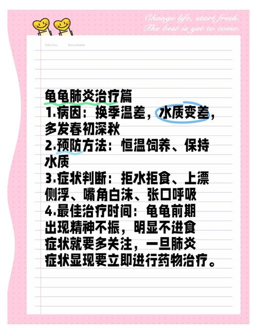 巴西龟肺炎治疗问题。