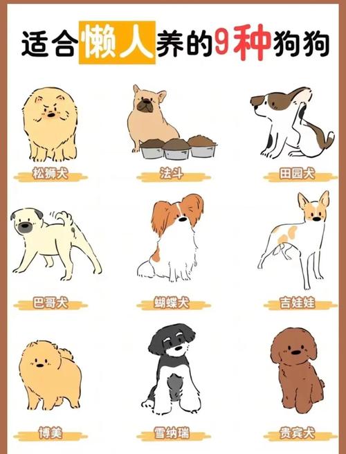 12种最适合懒人养的宠物狗