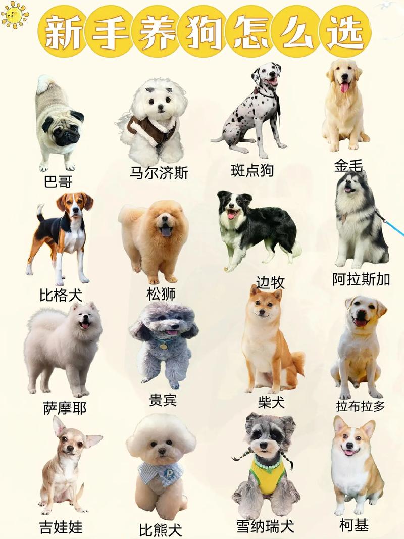 请大家告诉我几种常见宠物狗的优缺点,谢谢~~~