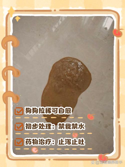 三个月萨摩耶都能吃什么