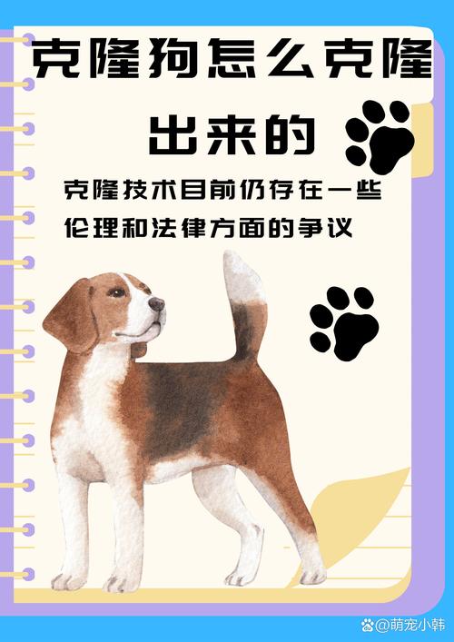 克隆的狗哪家好