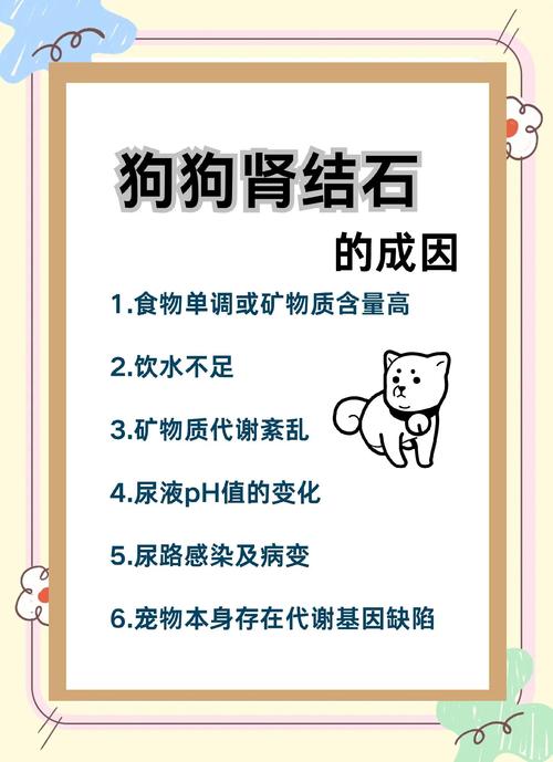 狗狗有结石的症状有哪些