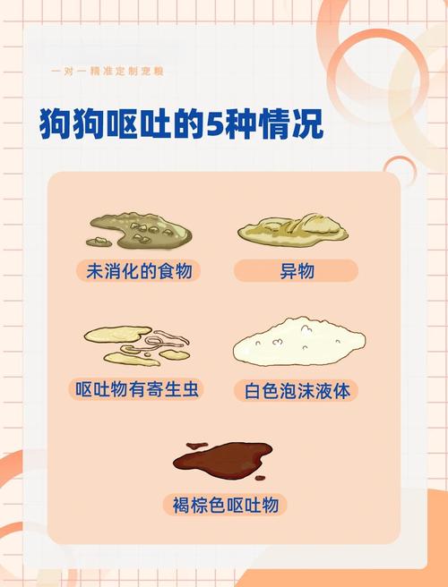 狗狗结石为什么吐