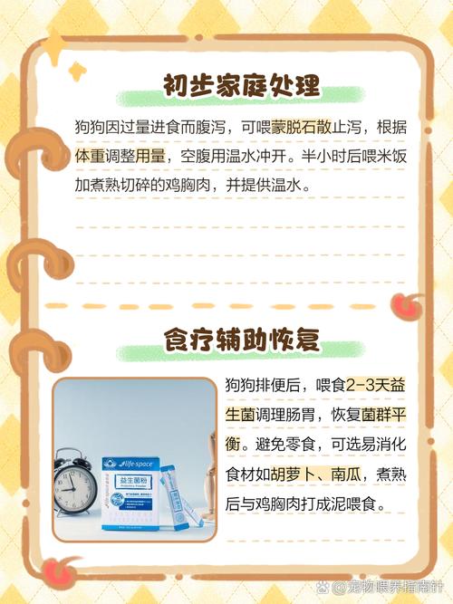 狗狗吃多了拉稀怎么办