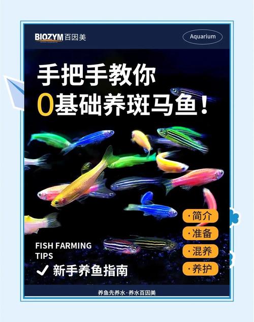斑马鱼需要打氧气吗?