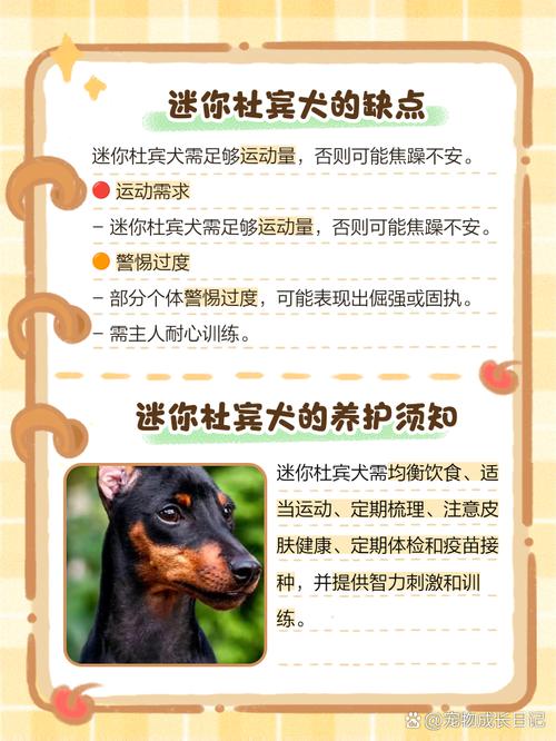 什么是改良杜宾犬