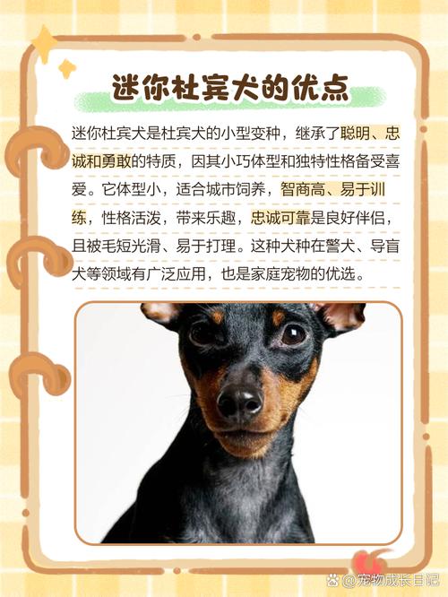 世界上都有哪些名狗,哪个种类的狗最通人性?