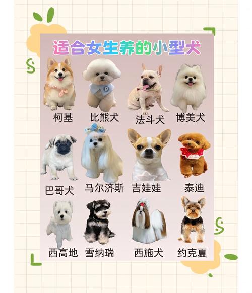 克隆一只狗需要多少钱