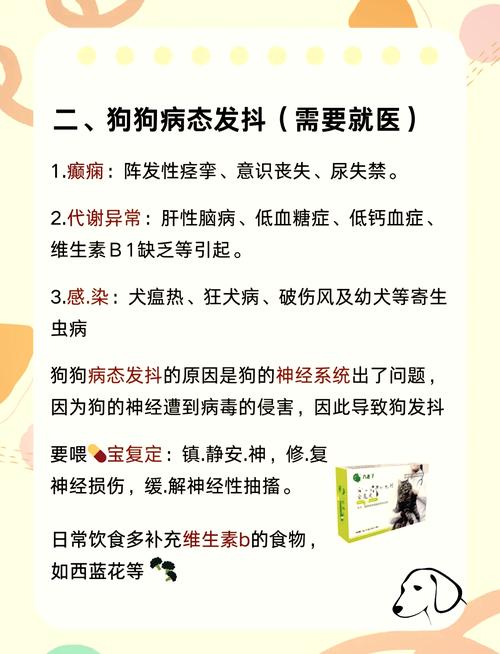 狗瘟后遗症抽搐的治疗方法
