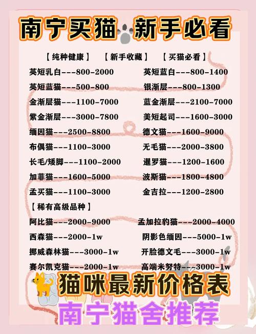 求助,一只黑猫在宠物店大概多少钱一只?