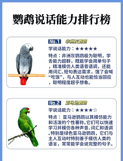 亚马逊鹦鹉常见品种与区分[紫冠亚马逊鹦鹉介绍]