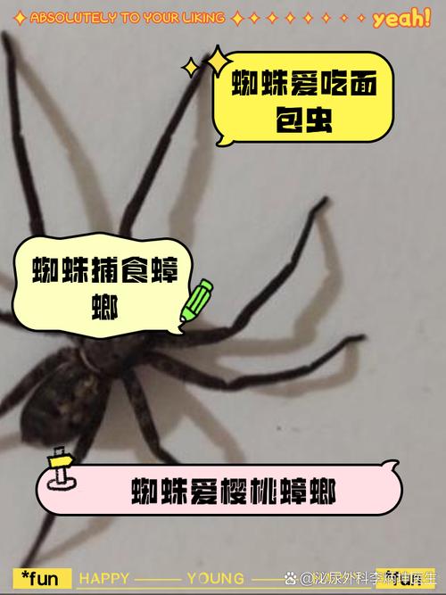 蜘蛛好像都不怎么吃面包虫,但是我养了一只火玫瑰请问那他会吃大麦虫吗...