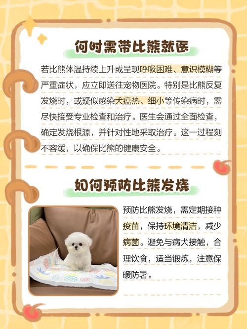 比熊发烧什么症状