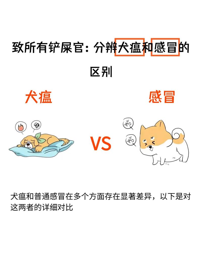 狗狗感冒和犬瘟的区别