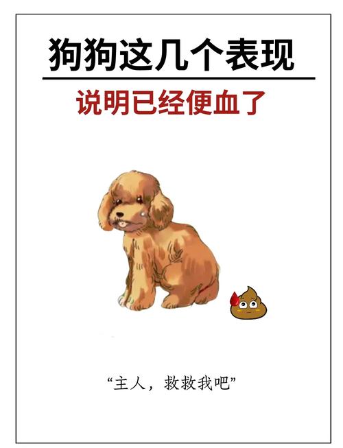 狗狗拉稀了怎么办?