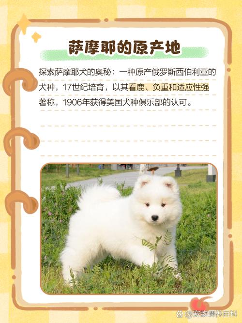 萨摩耶是哪个国家的犬种