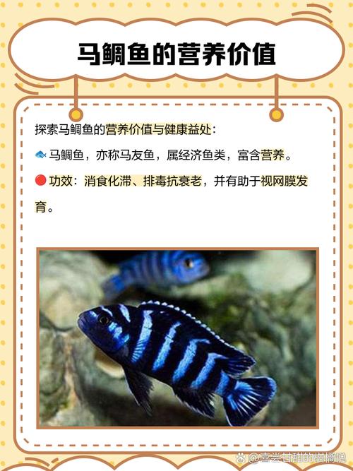 马鲷鱼应该怎么养呢?
