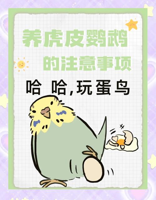 虎皮鹦鹉都吃什么?