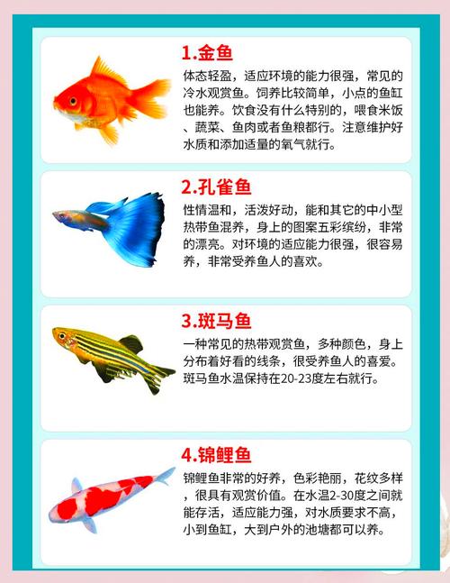 十种最漂亮的淡水鱼